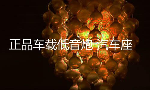 正品车载低音炮 汽车座椅音响12v有源专用超薄超重低音炮车改装下载