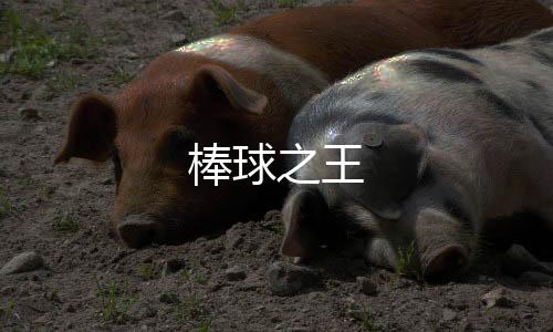 棒球之王下载