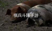 棋兵斗阵手游