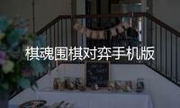 棋魂围棋对弈手机版
