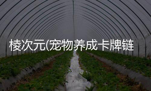 棱次元(宠物养成卡牌链游)下载