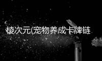 棱次元(宠物养成卡牌链游)
