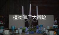 植物僵尸大冒险