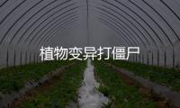 植物变异打僵尸