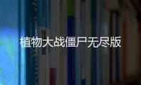 植物大战僵尸无尽版