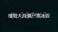 植物大战僵尸寒冰版
