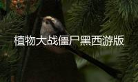 植物大战僵尸黑西游版