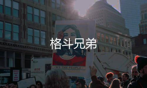 格斗兄弟下载
