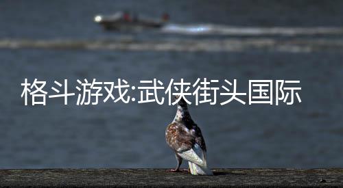 格斗游戏:武侠街头国际服下载