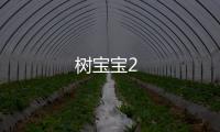 树宝宝2
