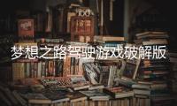 梦想之路驾驶游戏破解版