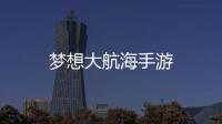 梦想大航海手游
