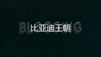 比亚迪王朝