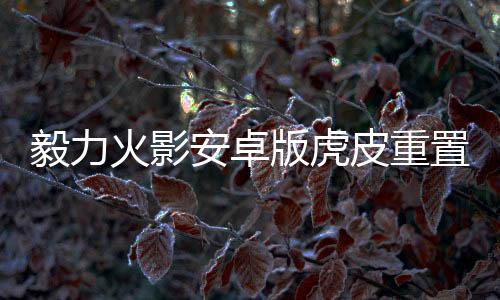 毅力火影安卓版虎皮重置下载