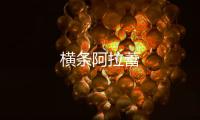 横条阿拉蕾