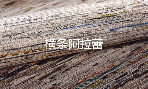 横条阿拉蕾下载