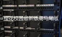 樱花校园最新版高马尾敞篷车版