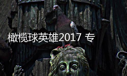 橄榄球英雄2017 专业版下载下载