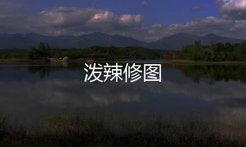 泼辣修图下载