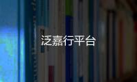 泛嘉行平台