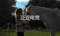 泛亚电竞