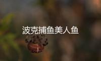 波克捕鱼美人鱼
