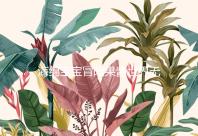 海绵宝宝冒险果酱世界无限金币钻石