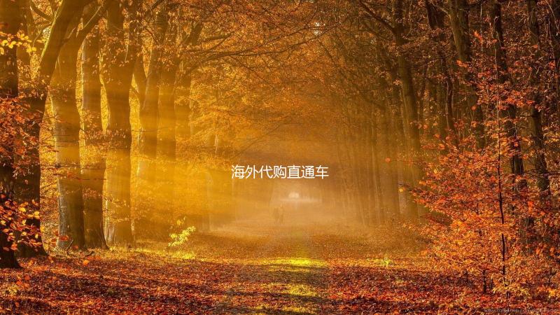 海外代购直通车下载