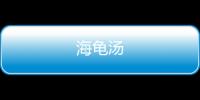 海龟汤