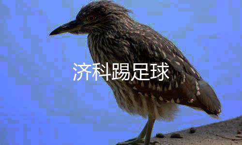 济科踢足球下载