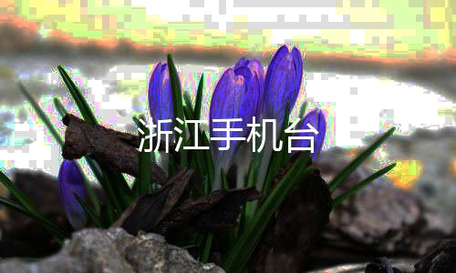 浙江手机台下载