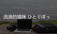 流浪的猫咪 ひとりぼっちのノラ