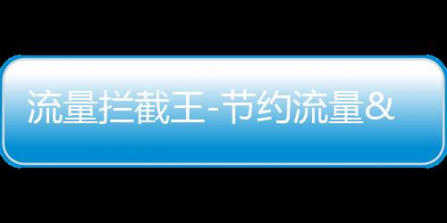 流量拦截王-节约流量&实用应用&微博分享下载