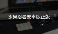 水果忍者安卓版正版