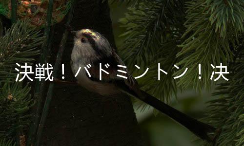 決戦！バドミントン！决战羽毛球日服下载