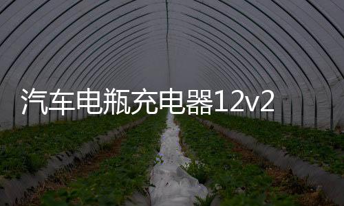汽车电瓶充电器12v24v纯铜修复通用型智能脉冲大功率自动满电自停下载