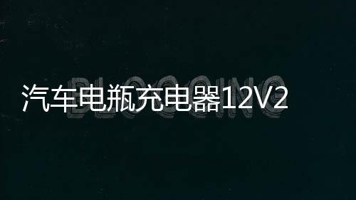 汽车电瓶充电器12V24V纯铜全自动大功率智能脉冲启停蓄电池充电机下载