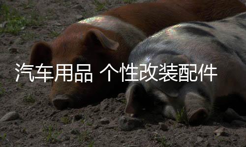 汽车用品 个性改装配件通用车标装饰 3D立体金属创意中国吉祥龙标下载