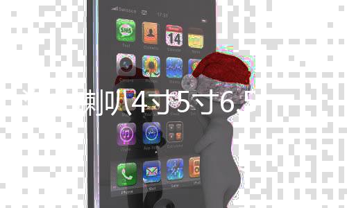 汽车喇叭4寸5寸6.5寸同轴全频高中重低音炮车载音响无损改装套装下载