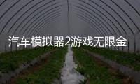 汽车模拟器2游戏无限金币中文版