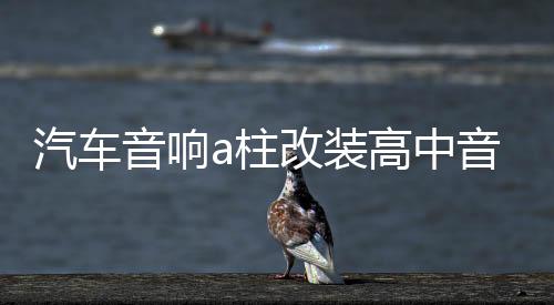 汽车音响a柱改装高中音磨具三分频倒模支架喇叭底座二分频a柱支架下载