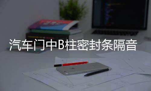 汽车门中B柱密封条隔音降噪橡胶条卡槽缝隙条防水通用加改装配件下载