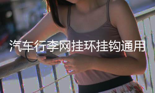 汽车行李网挂环挂钩通用多功能车内用车载后备箱网兜固定安装配件下载