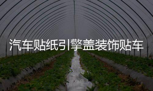 汽车贴纸引擎盖装饰贴车门车头盖刮痕遮划痕贴机盖贴个性改装拉花下载