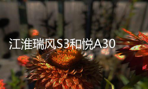 江淮瑞风S3和悦A30和悦瑞风S2原装电瓶瓦尔塔60安汽车蓄电池下载
