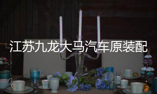 江苏九龙大马汽车原装配件海格大海狮滑门内拉手内开把手内扣手下载