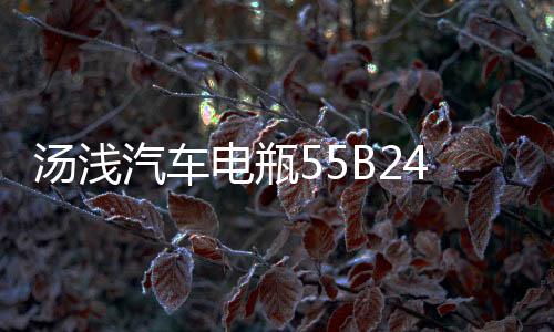 汤浅汽车电瓶55B24L天语雨燕骐达颐达骊威轩逸逍客利亚纳骏逸电池下载
