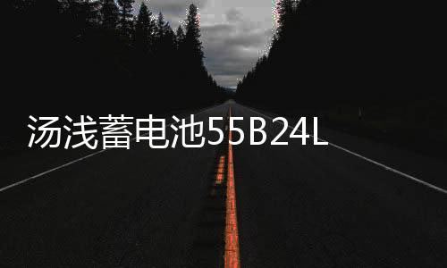 汤浅蓄电池55B24LS雅阁CRV思域凌派思铂睿杰德缤智汽车蓄电瓶45AH下载