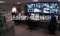 汤姆猫小镇破解版
