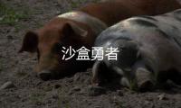 沙盒勇者